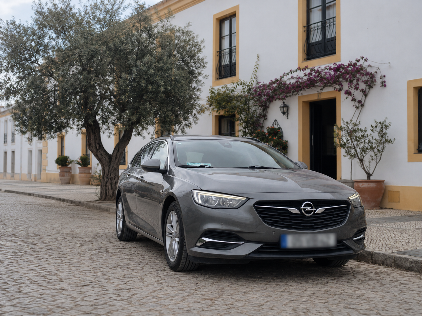 GingerSmile private passenger car